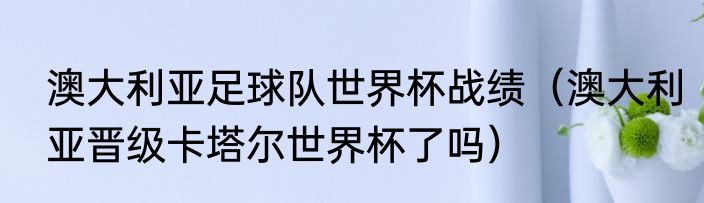 澳大利亚足球队世界杯战绩（澳大利亚晋级卡塔尔世界杯了吗）