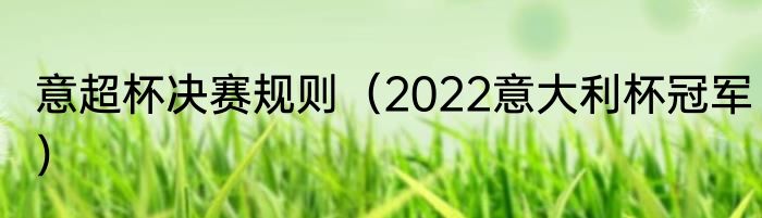 意超杯决赛规则（2022意大利杯冠军）