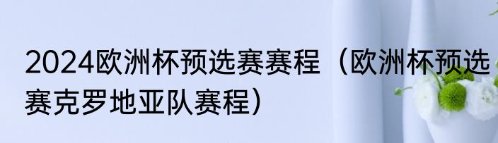 2024欧洲杯预选赛赛程（欧洲杯预选赛克罗地亚队赛程）