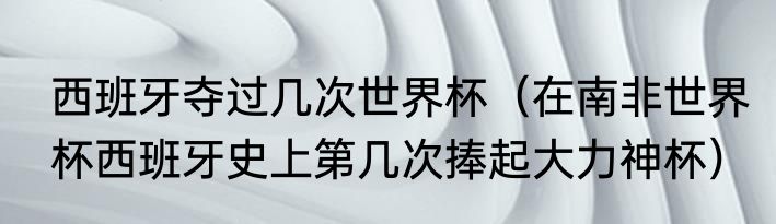 西班牙夺过几次世界杯（在南非世界杯西班牙史上第几次捧起大力神杯）
