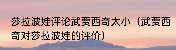 莎拉波娃评论武贾西奇太小（武贾西奇对莎拉波娃的评价）