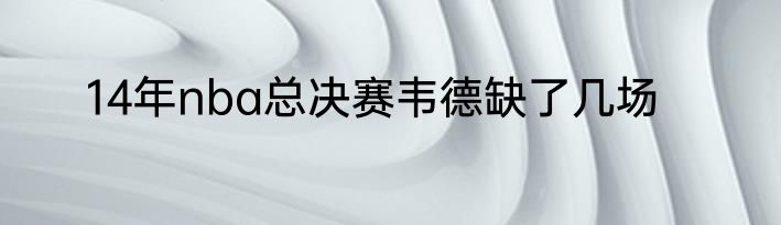 14年nba总决赛韦德缺了几场