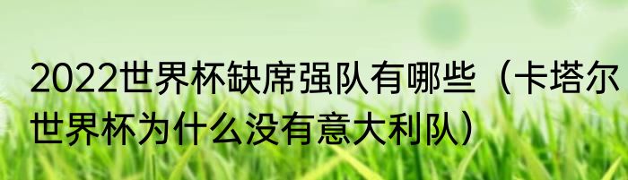2022世界杯缺席强队有哪些（卡塔尔世界杯为什么没有意大利队）