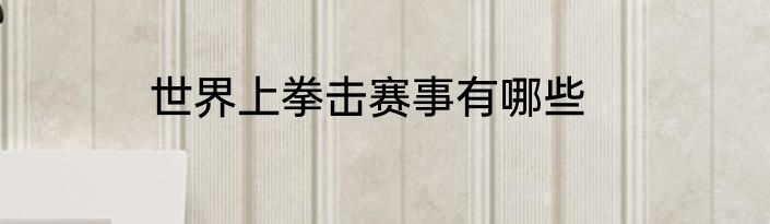 世界上拳击赛事有哪些