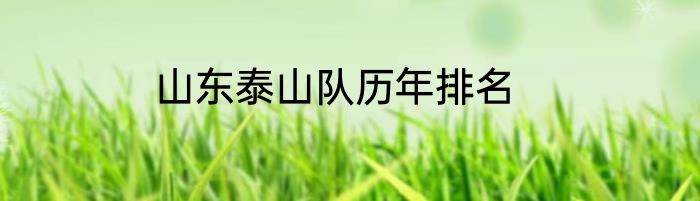 山东泰山队历年排名