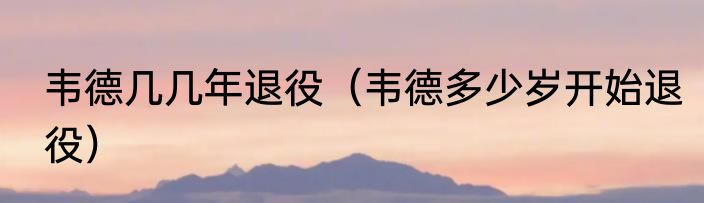 韦德几几年退役（韦德多少岁开始退役）