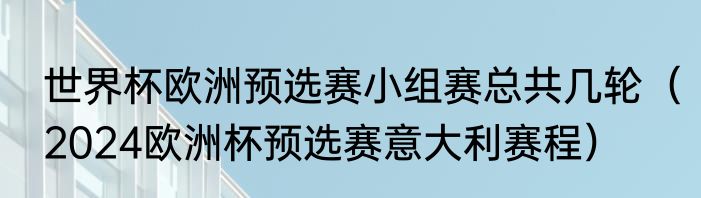 世界杯欧洲预选赛小组赛总共几轮（2024欧洲杯预选赛意大利赛程）