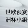 世欧预赛分组和规则2021积分榜（欧洲杯小组晋级规则是什么）