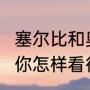塞尔比和奥沙利文比是不是逊色的多?你怎样看待