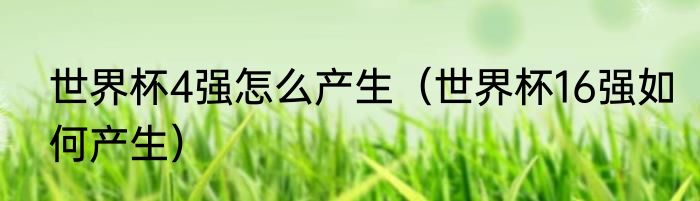 世界杯4强怎么产生（世界杯16强如何产生）
