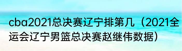 cba2021总决赛辽宁排第几（2021全运会辽宁男篮总决赛赵继伟数据）