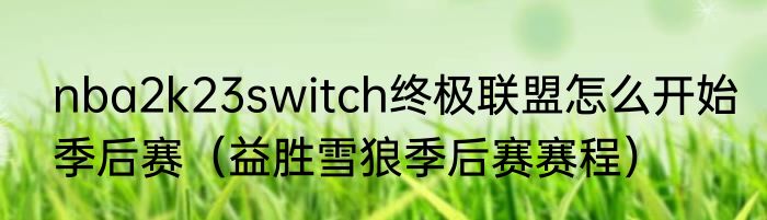 nba2k23switch终极联盟怎么开始季后赛（益胜雪狼季后赛赛程）