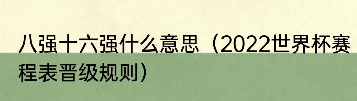 八强十六强什么意思（2022世界杯赛程表晋级规则）