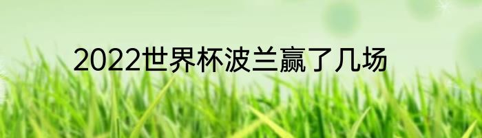 2022世界杯波兰赢了几场
