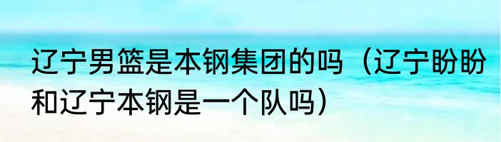 辽宁男篮是本钢集团的吗（辽宁盼盼和辽宁本钢是一个队吗）