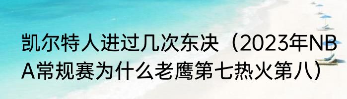 凯尔特人进过几次东决（2023年NBA常规赛为什么老鹰第七热火第八）