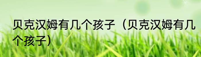 贝克汉姆有几个孩子（贝克汉姆有几个孩子）