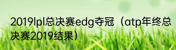 2019lpl总决赛edg夺冠（atp年终总决赛2019结果）