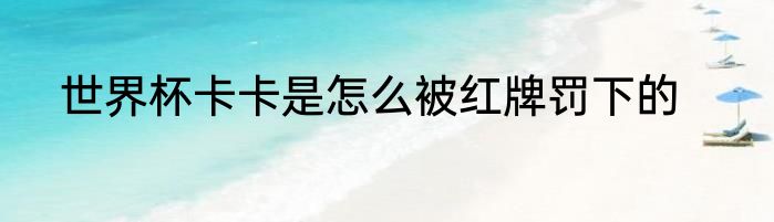 世界杯卡卡是怎么被红牌罚下的