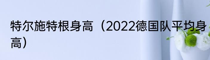 特尔施特根身高（2022德国队平均身高）
