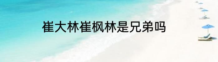 崔大林崔枫林是兄弟吗