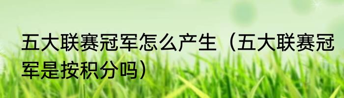 五大联赛冠军怎么产生（五大联赛冠军是按积分吗）