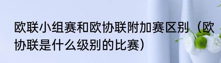 欧联小组赛和欧协联附加赛区别（欧协联是什么级别的比赛）