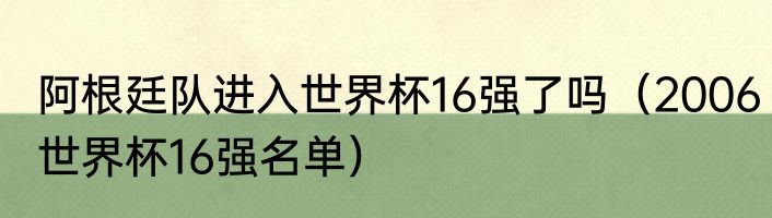 阿根廷队进入世界杯16强了吗（2006世界杯16强名单）
