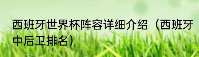 西班牙世界杯阵容详细介绍（西班牙中后卫排名）