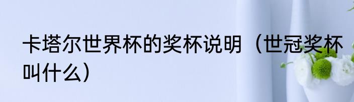 卡塔尔世界杯的奖杯说明（世冠奖杯叫什么）