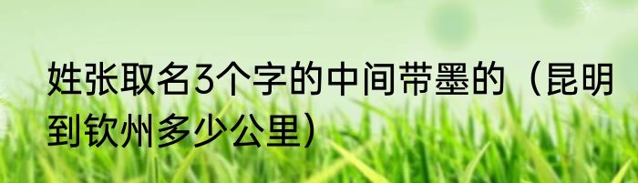 姓张取名3个字的中间带墨的（昆明到钦州多少公里）