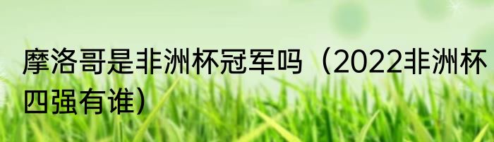 摩洛哥是非洲杯冠军吗（2022非洲杯四强有谁）