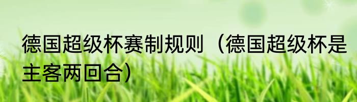 德国超级杯赛制规则（德国超级杯是主客两回合）