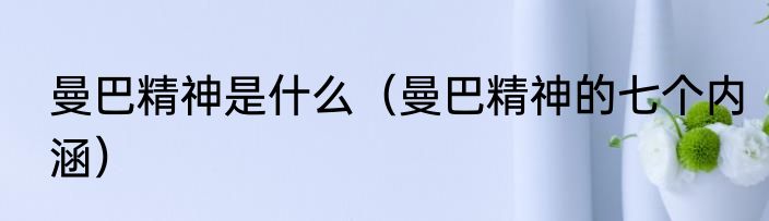 曼巴精神是什么（曼巴精神的七个内涵）