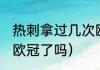 热刺拿过几次欧冠冠军（23年热刺进欧冠了吗）