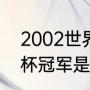 2002世界杯冠军是谁（2002年世界杯冠军是谁）