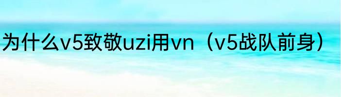 为什么v5致敬uzi用vn（v5战队前身）