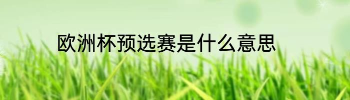 欧洲杯预选赛是什么意思