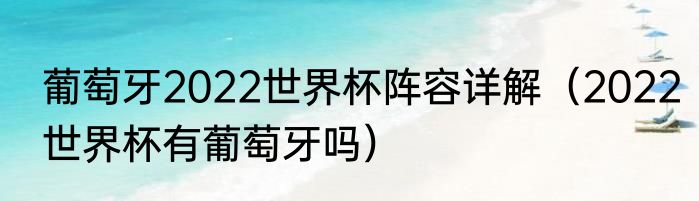 葡萄牙2022世界杯阵容详解（2022世界杯有葡萄牙吗）