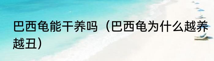 巴西龟能干养吗（巴西龟为什么越养越丑）