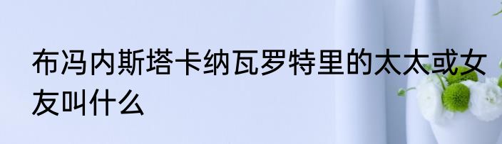 布冯内斯塔卡纳瓦罗特里的太太或女友叫什么