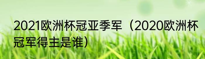 2021欧洲杯冠亚季军（2020欧洲杯冠军得主是谁）