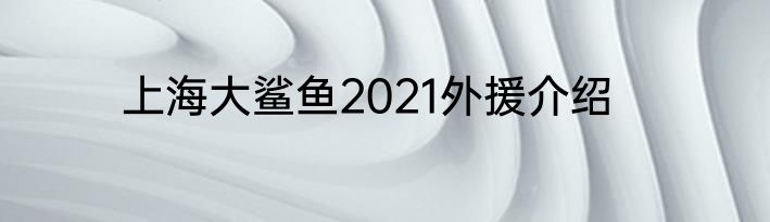 上海大鲨鱼2021外援介绍
