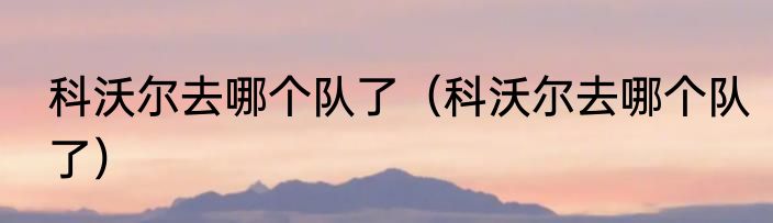 科沃尔去哪个队了（科沃尔去哪个队了）