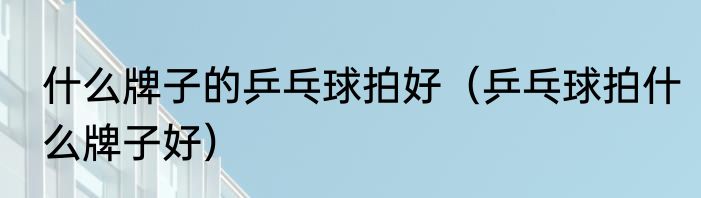 什么牌子的乒乓球拍好（乒乓球拍什么牌子好）