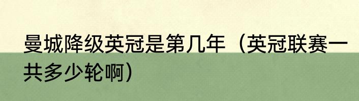 曼城降级英冠是第几年（英冠联赛一共多少轮啊）