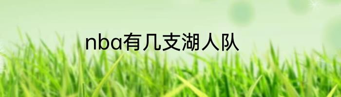 nba有几支湖人队