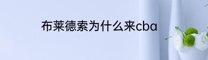 布莱德索为什么来cba