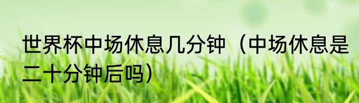 世界杯中场休息几分钟（中场休息是二十分钟后吗）