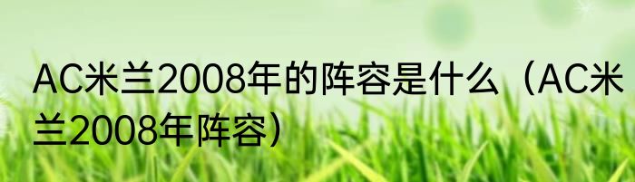 AC米兰2008年的阵容是什么（AC米兰2008年阵容）